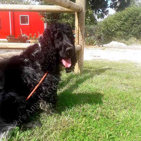 Ettore_r Ettore_r