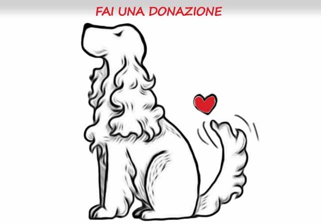 3_Fai-una-donazione