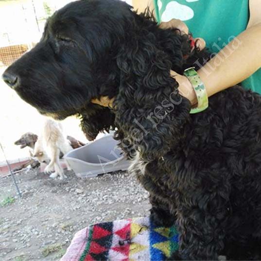 Artù_3 Artù_3
