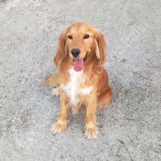 Bailey Bailey