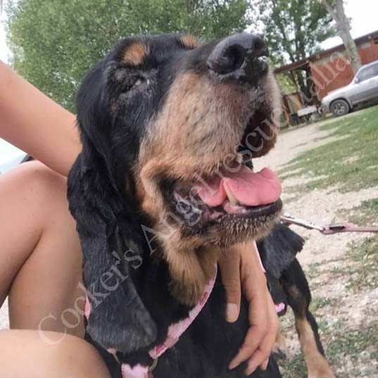 Brina Brina