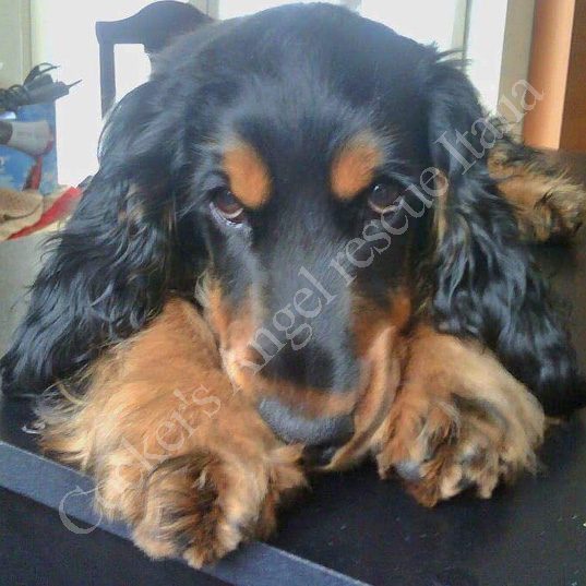 Charlie Charlie