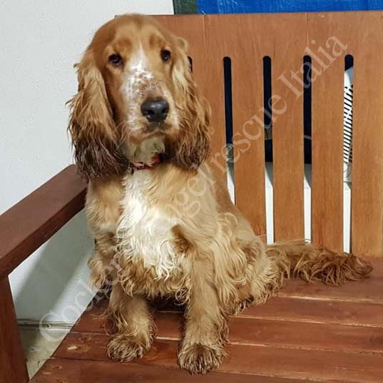 Lola_1 Lola_1