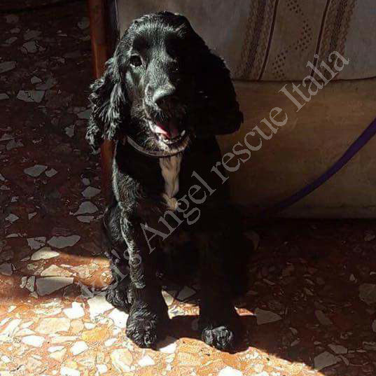 Lola_2 Lola_2