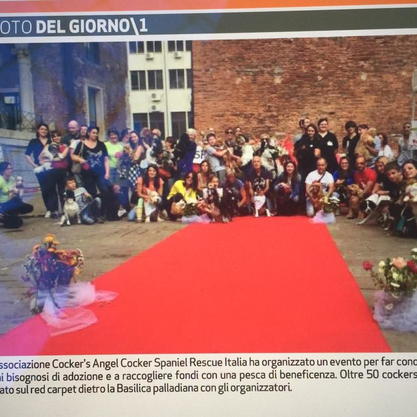 Vicenza
